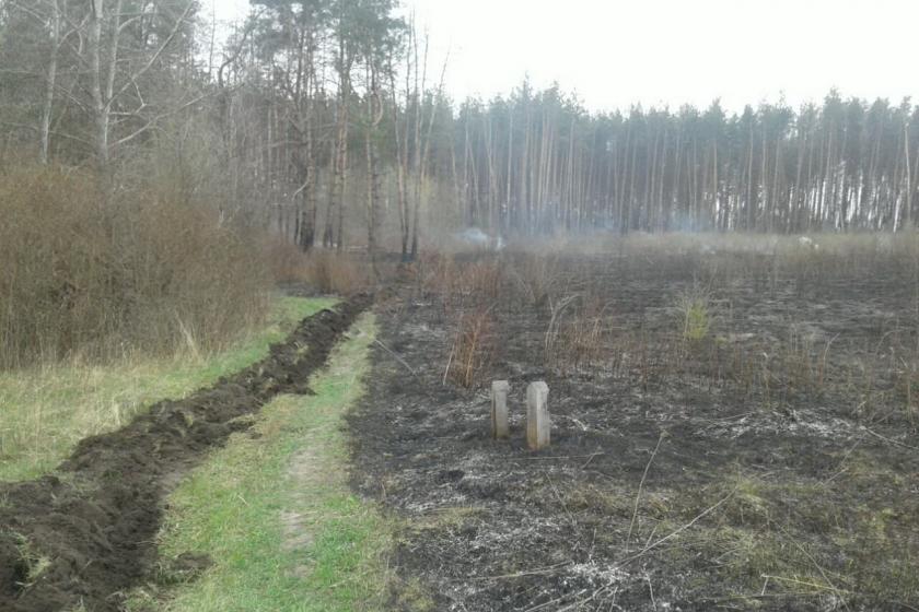 В Харьковской области горел хвойный лес. Фото: ГСЧС