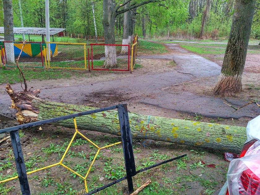 На Алексеевке дерево упало на 4 машины. Фото: Надежда Тофан/ Facebook