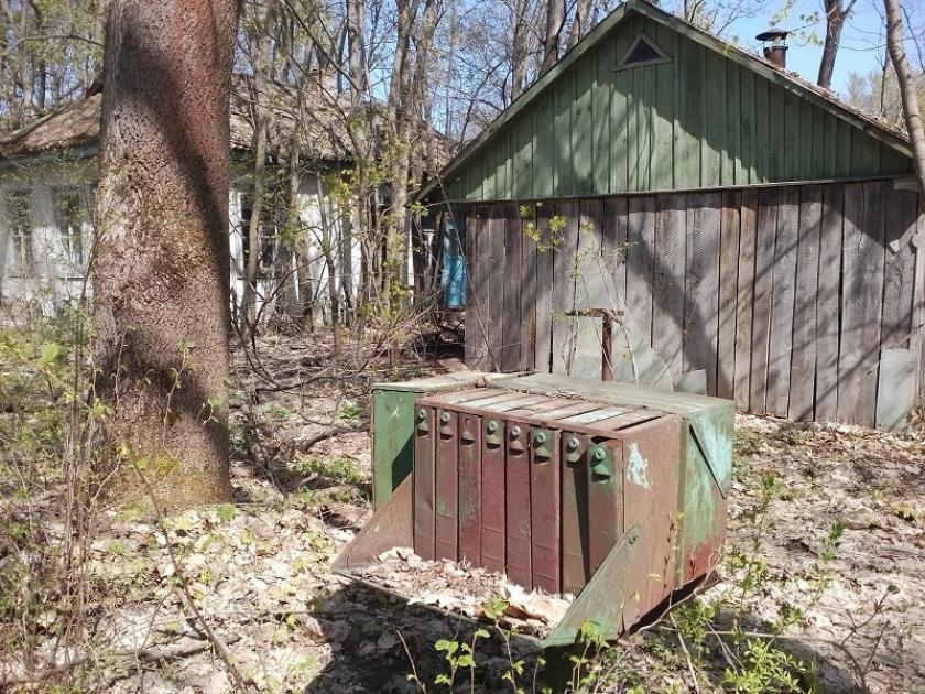 Чернобыльская зона отчуждения: наши дни. Фото: Юлия Ворона / KHARKIV Today