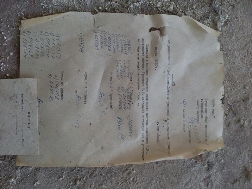 Чернобыльская зона отчуждения: наши дни. Фото: Юлия Ворона / KHARKIV Today