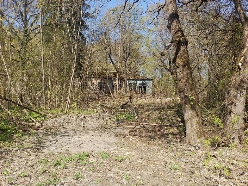 Чернобыльская зона отчуждения: наши дни. Фото: Юлия Ворона / KHARKIV Today