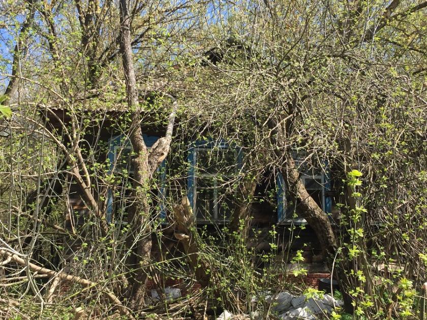 Чернобыльская зона отчуждения: наши дни. Фото: Юлия Ворона / KHARKIV Today