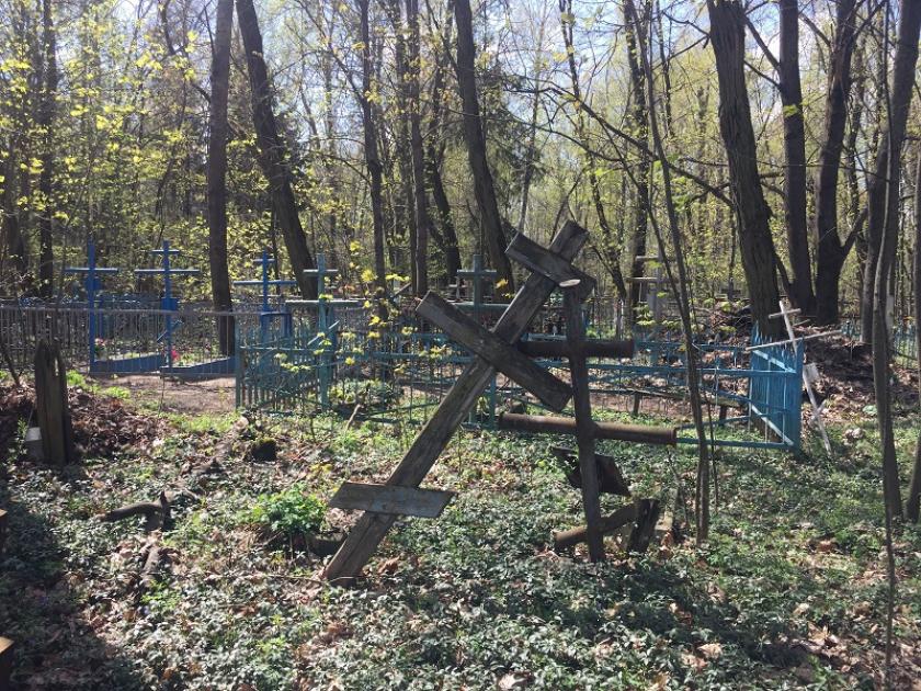 Чернобыльская зона отчуждения: наши дни. Фото: Юлия Ворона / KHARKIV Today