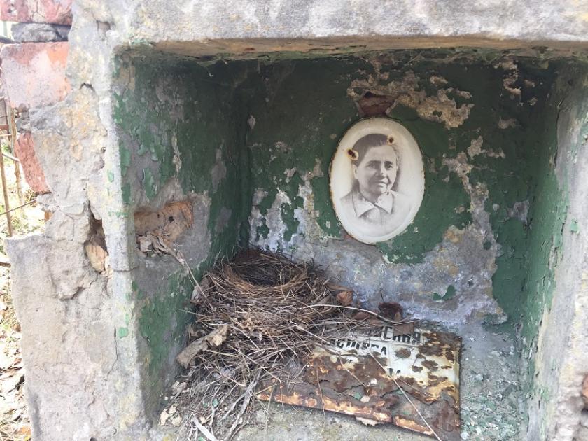 Чернобыльская зона отчуждения: наши дни. Фото: Юлия Ворона / KHARKIV Today