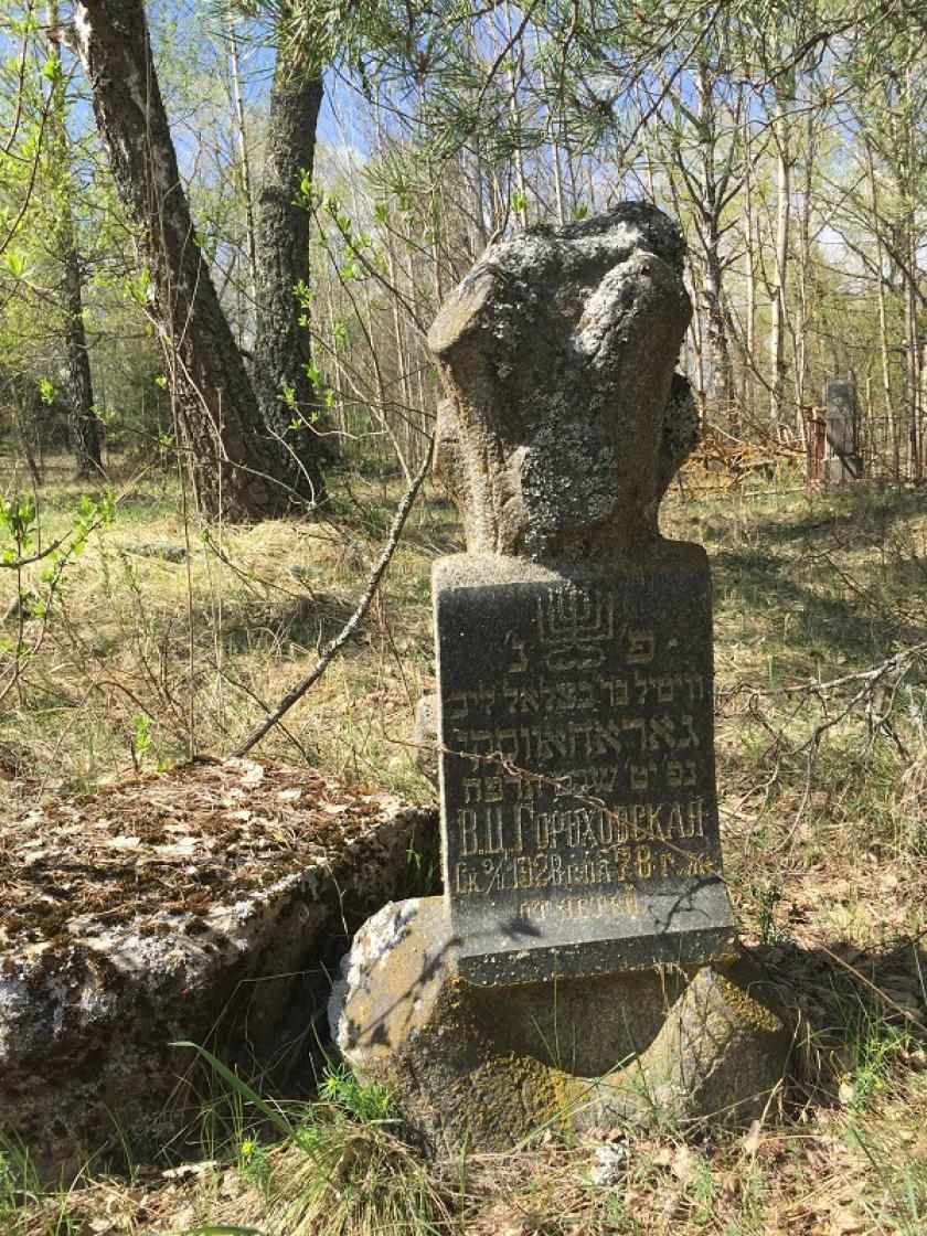Чернобыльская зона отчуждения: наши дни. Фото: Юлия Ворона / KHARKIV Today