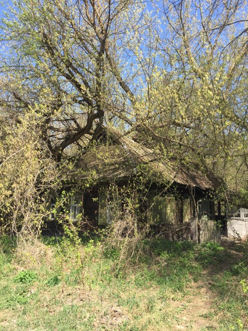 Чернобыльская зона отчуждения: наши дни. Фото: Юлия Ворона / KHARKIV Today