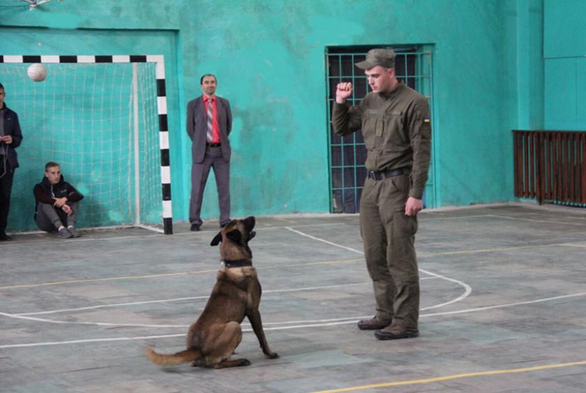 Гвардейский пес Лорд приехал в гости к будущим ветеринарам. Фото: Нацгвардия