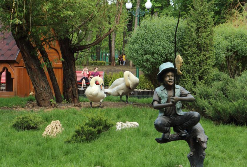 В пруд в парке Горького выпустили птиц. Фото: Харьковский зоопарк