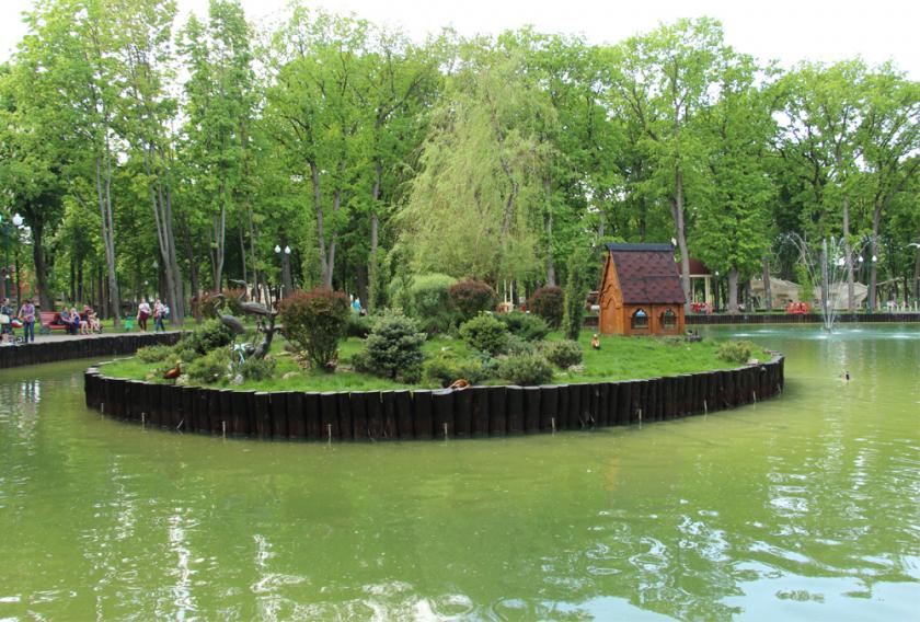 В пруд в парке Горького выпустили птиц. Фото: ХаВ пруд в парке Горького выпустили птиц. Фото: Харьковский зоопаркрьковский зоопарк