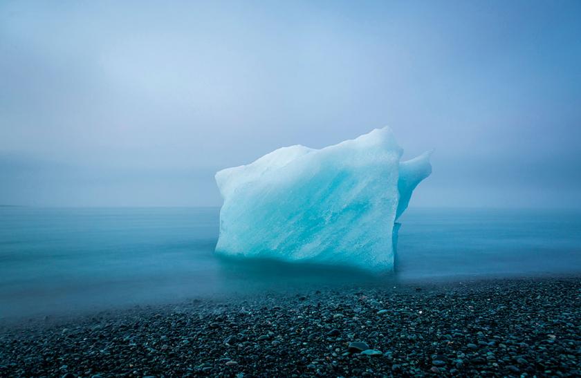 Работы победителей всемирного фотоконкурса. Фото: The Nature Conservancy