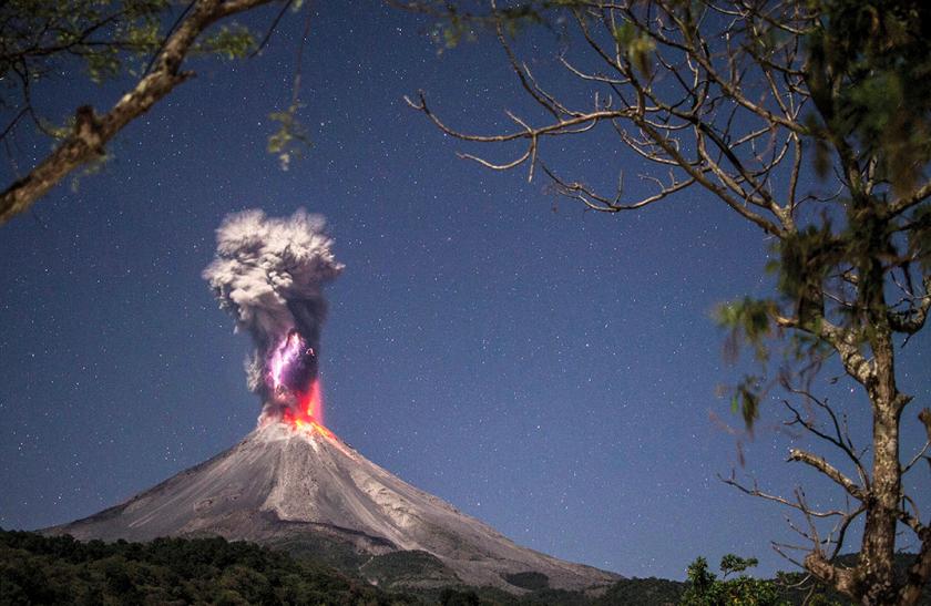 Работы победителей всемирного фотоконкурса. Фото: The Nature Conservancy