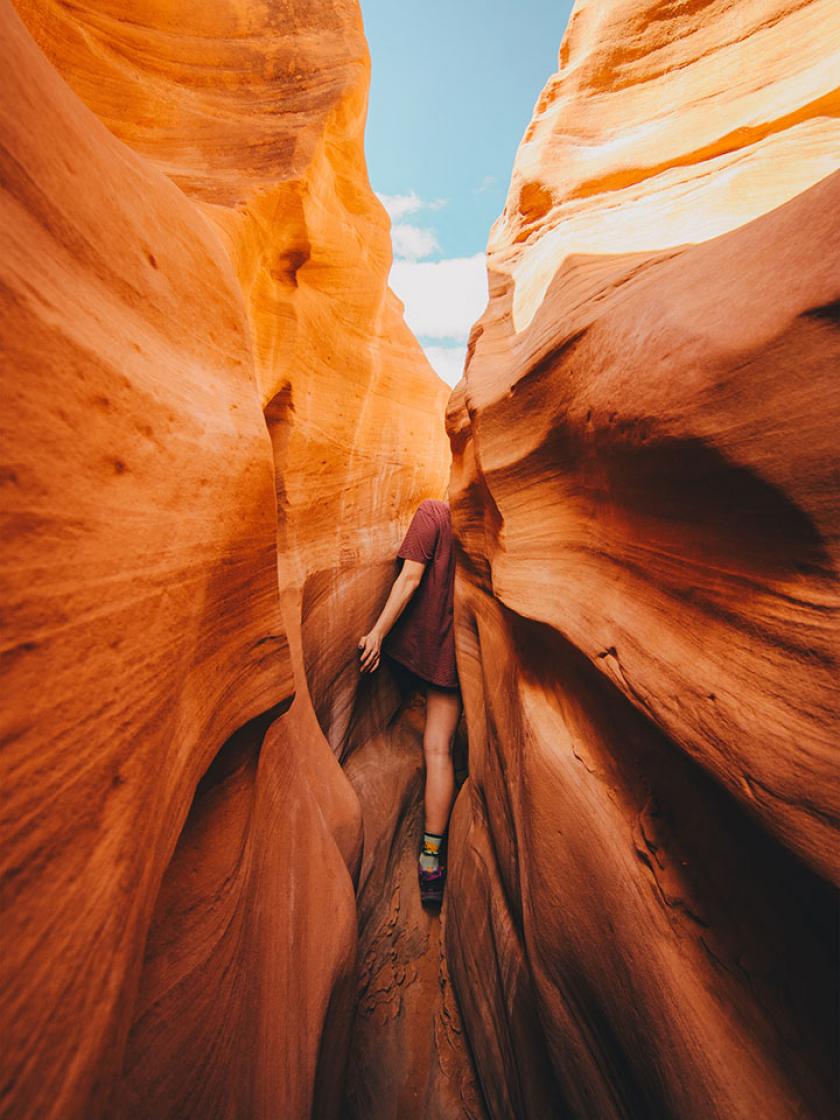 Работы победителей всемирного фотоконкурса. Фото: The Nature Conservancy
