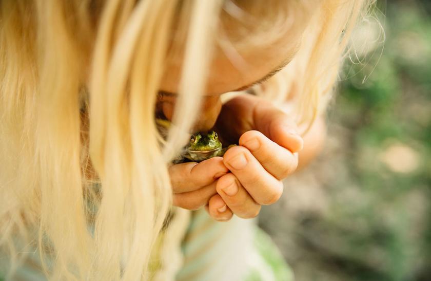 Работы победителей всемирного фотоконкурса. Фото: The Nature Conservancy