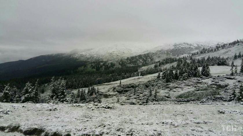 В Карпатах выпал снег. Фото: ТСН