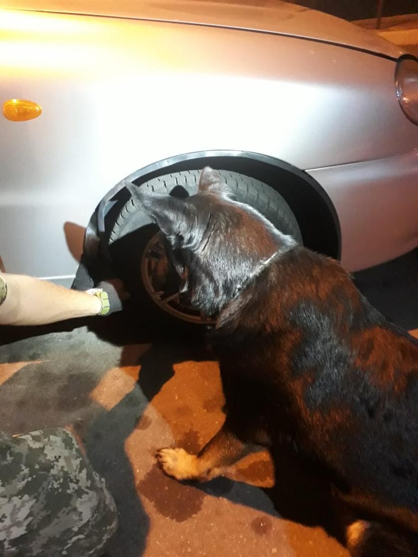 Харьковчанин пытался вывезти в Россию более семи килограммов конопли. Фото: ГПСУ