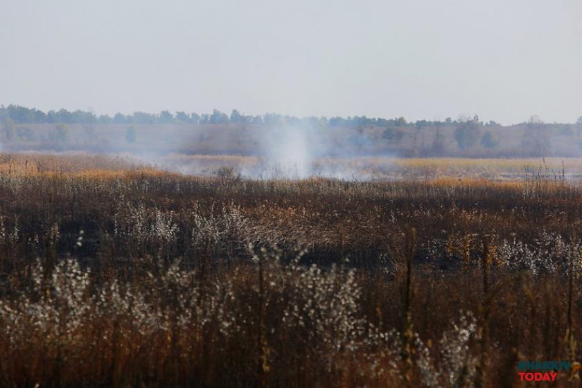 горят торфяники. Фото: Сергей Козлов / KHARKIV Today