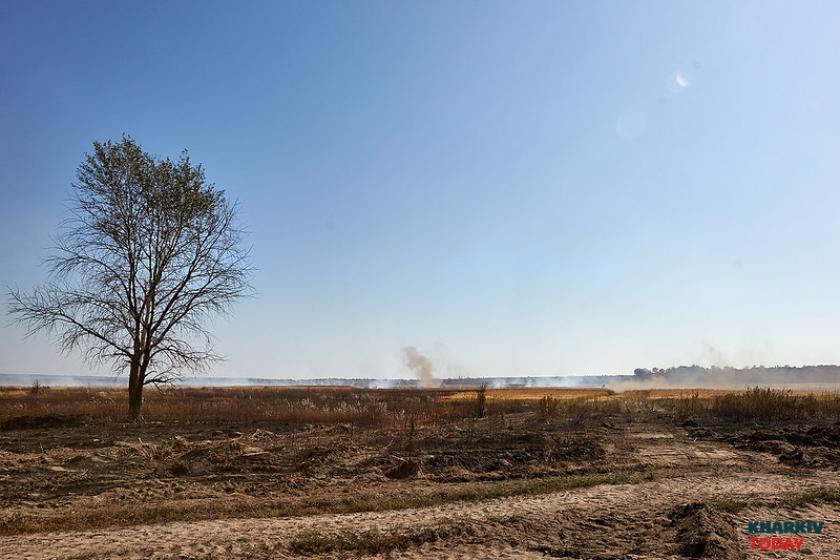 горят торфяники. Фото: Сергей Козлов / KHARKIV Today