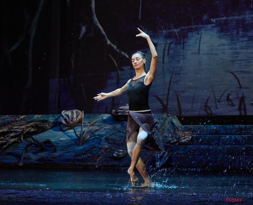 лебединое озеро на воде. Фото: Сергей Козлов / KHARKIV Today