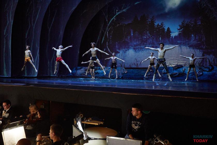 лебединое озеро на воде. Фото: Сергей Козлов / KHARKIV Today