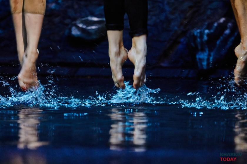 лебединое озеро на воде. Фото: Сергей Козлов / KHARKIV Today