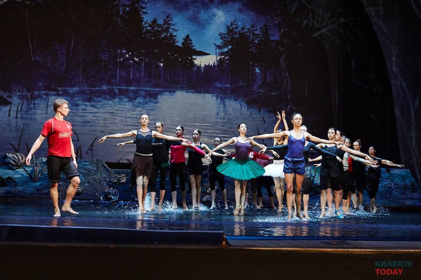 лебединое озеро на воде. Фото: Сергей Козлов / KHARKIV Today