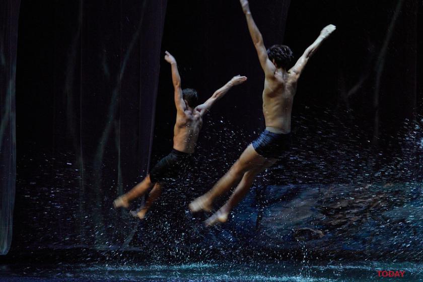 лебединое озеро на воде. Фото: Сергей Козлов / KHARKIV Today