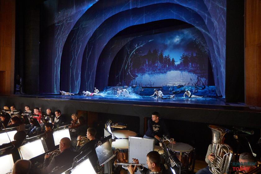 лебединое озеро на воде. Фото: Сергей Козлов / KHARKIV Today