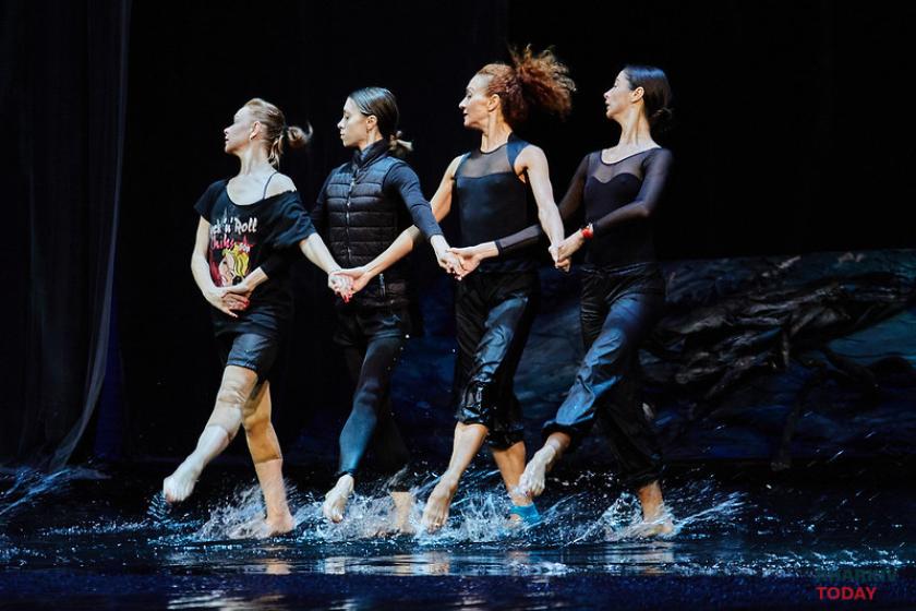 лебединое озеро на воде. Фото: Сергей Козлов / KHARKIV Today