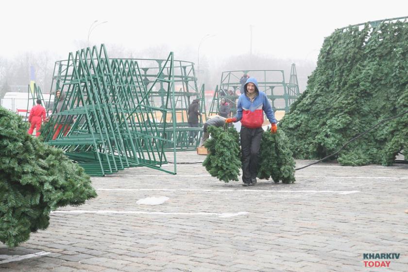 елка на площади Свободы. Фото: Сергей Козлов / KHARKIV Today