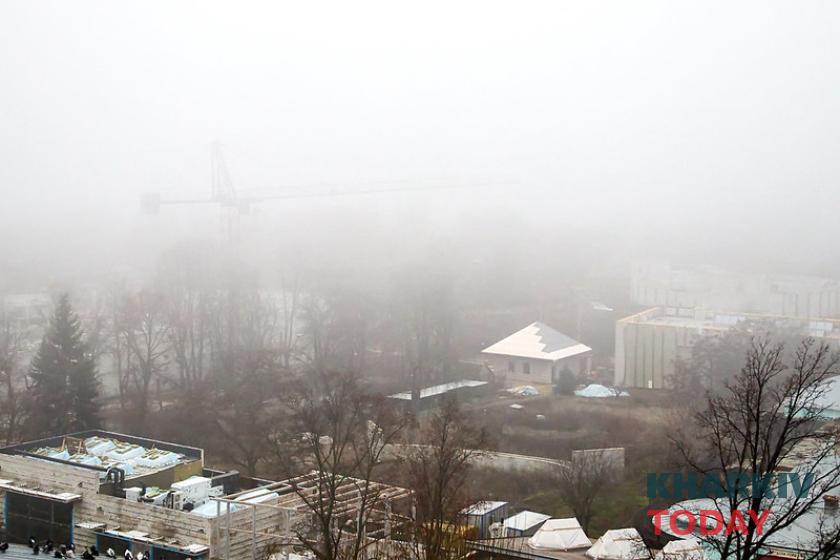 Харьковский зоопарк. Фото: Сергей Козлов / KHARKIV Today