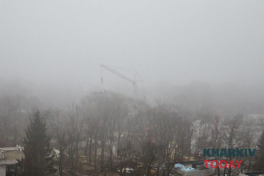 Харьковский зоопарк. Фото: Сергей Козлов / KHARKIV Today