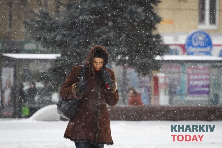 Фото: Константин Чегринский / KHARKIV Today