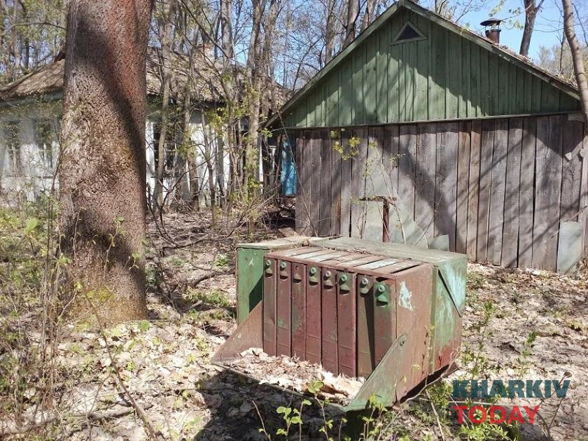 Чернобыльская зона отчуждения: наши дни. Фото: Юлия Ворона / KHARKIV Today