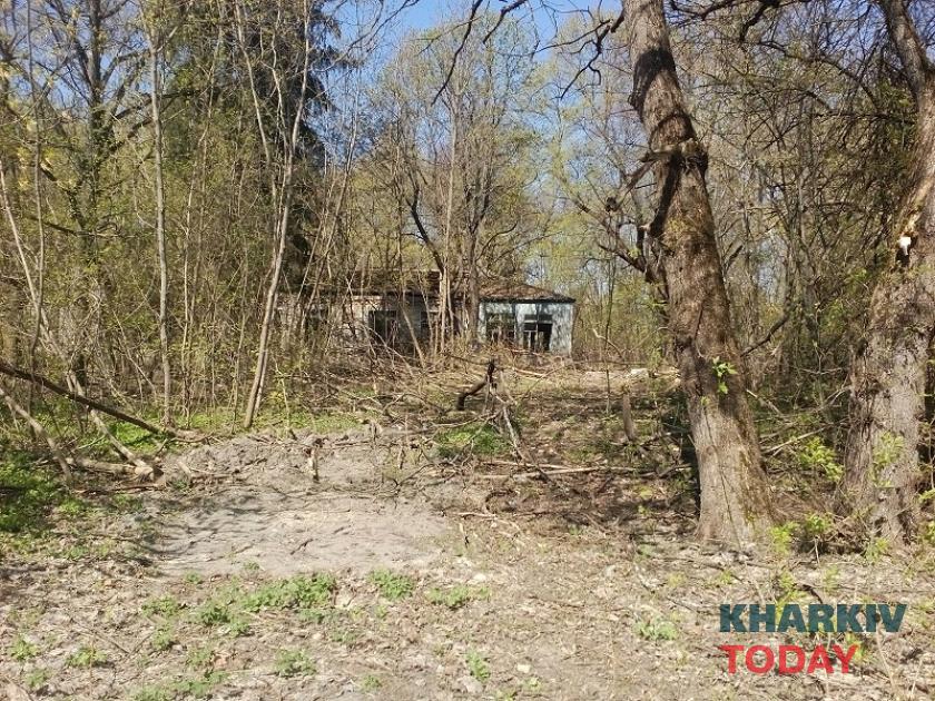 Чернобыльская зона отчуждения: наши дни. Фото: Юлия Ворона / KHARKIV Today
