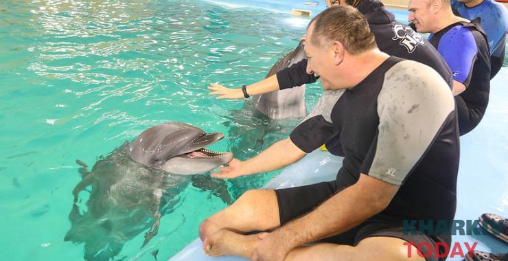 У Харкові дельфіни лікують ветеранів АТО. Фото: KHARKIV Today