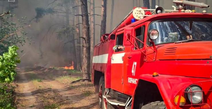 Рятувальники загасили велику лісову пожежу на Харківщині