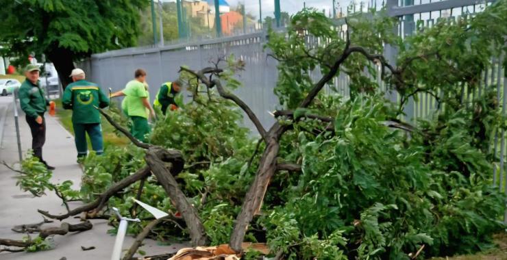 Буревій у Харкові ламає дерева, прапор приспустили до завершення стихії