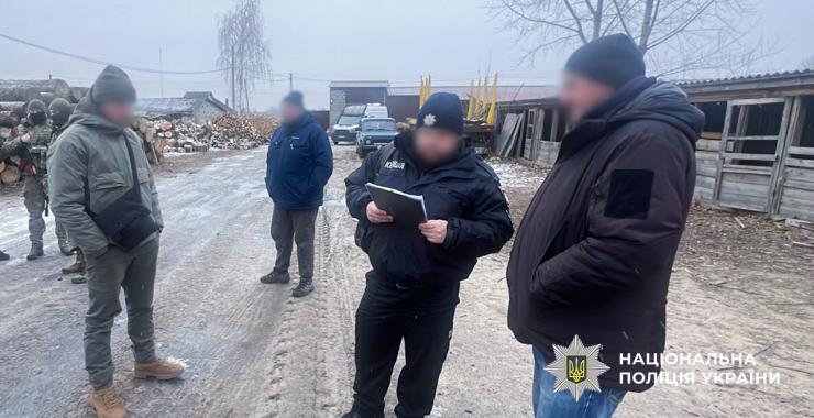 На Харківщині незаконно вирубали вікові дерева на два мільйони гривень