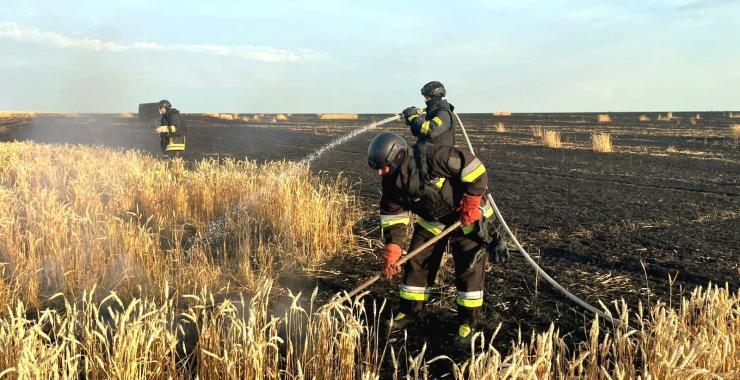 РФ скинула авіабомбу на пшеничне поле у Харківській області