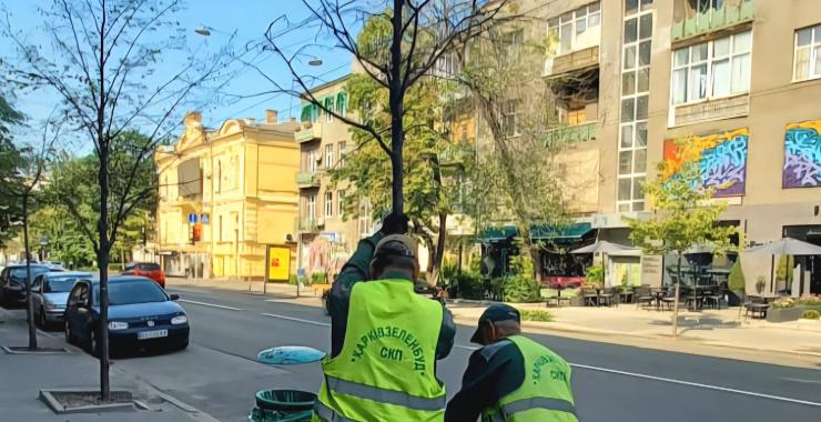 Харків витратить мільйони гривень на полив дерев