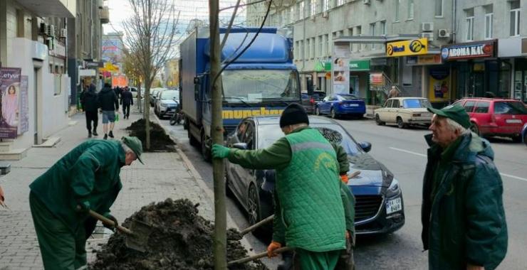 Фото: Харківзеленбуд