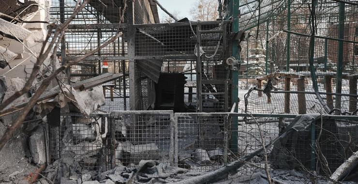 Авіаудар по екопарку поблизу Харкова: які тварини загинули та постраждали