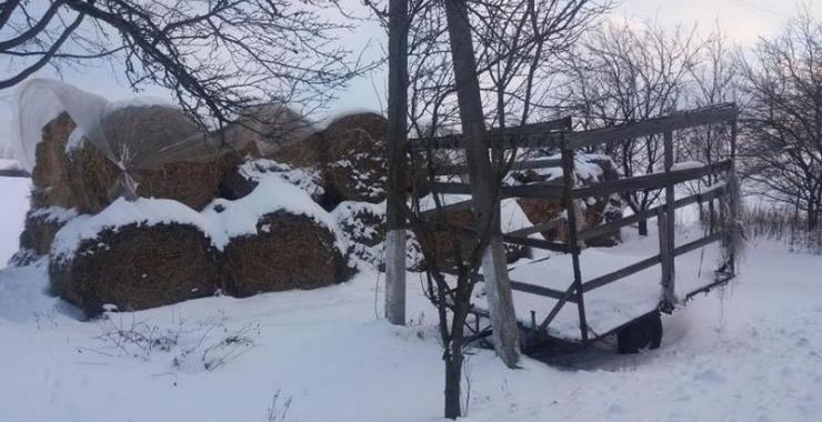 стог сена