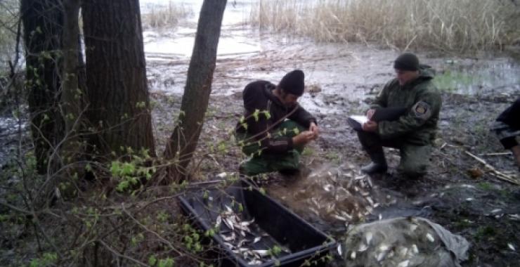 Харьковские рыбаки наловили рыбы около 150 тысяч гривен. Фото: darg.gov.ua