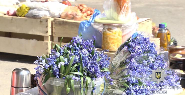 Полицейские оштрафовали незаконных торговцев первоцветами. Фото: ГУНП