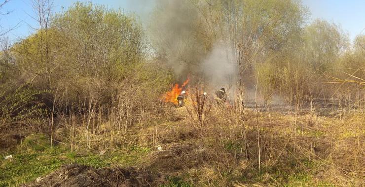 Пожарные потушили около 30 пожаров за сутки. Фото: ГСЧС