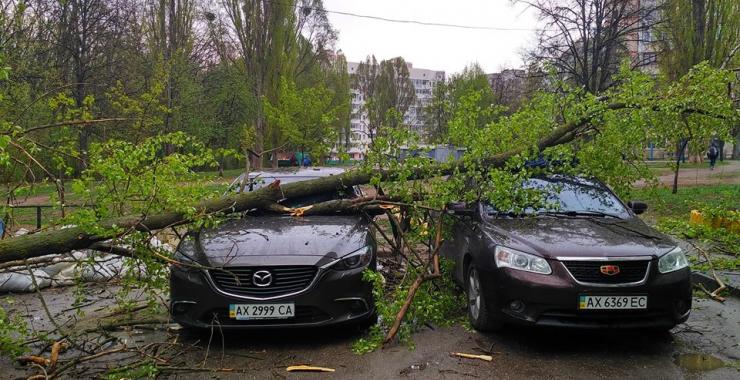 На Алексеевке дерево упало на 4 машины. Фото: Надежда Тофан/ Facebook