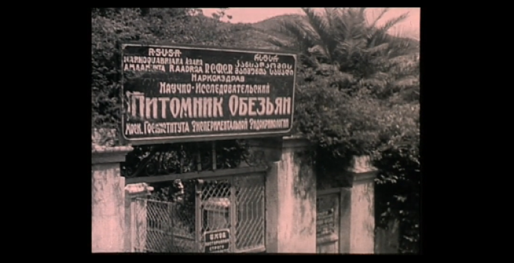 Первый украинский научный фильм сняли в 1930 году. Фото: dovzhenkocentre.org