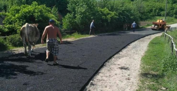 В Полтавской области коровы вытоптали новый асфальт. Фото: соцсети