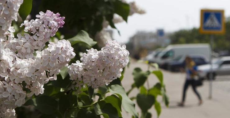 В Харькове дождь и местами град